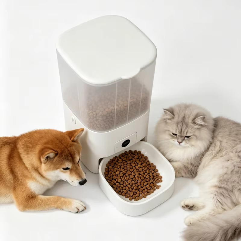 เครื่องให้อาหารแมวอัตโนมัติ 6  - Kitchen Appliances Video บทวิจารณ์และราคา